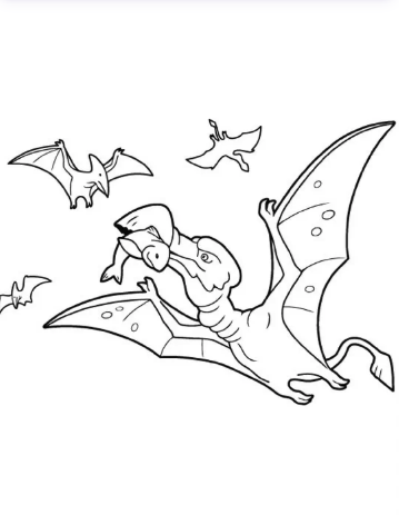 Ilustração para colorir de dinossauros voando
