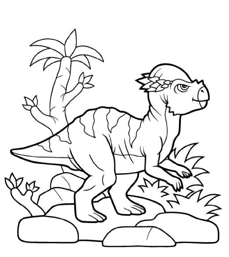 Página de exemplo para colorir do e-book Expedição Dino Kids